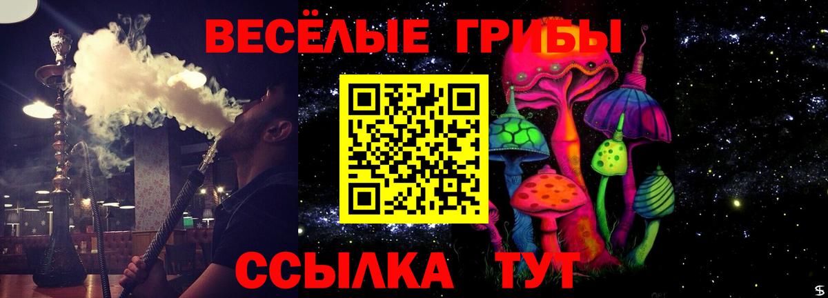 Владикавказ  сколько стоит  Вход с VPN  Галлюциногенные грибы Psilocybe 