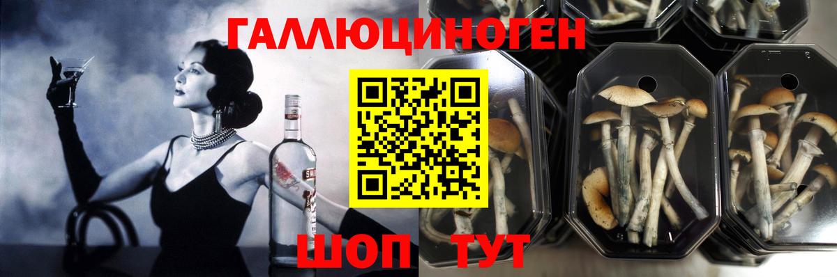 Галлюциногенные грибы Magic Shrooms Владикавказ